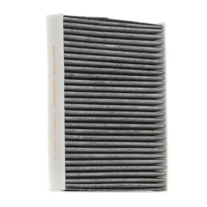 RIDEX 424I0060 Pollen filter
